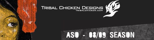 tribal chicken designs is an award winning atlanta website design and development firm - 50 Design Studios from each of the 50 States