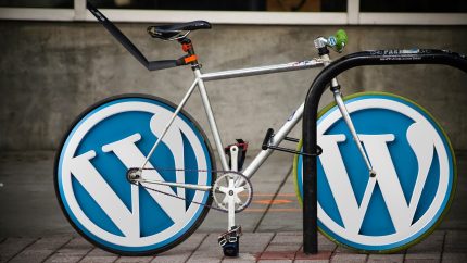 I have a WordPress site, what services is available for Wordpress SEO?